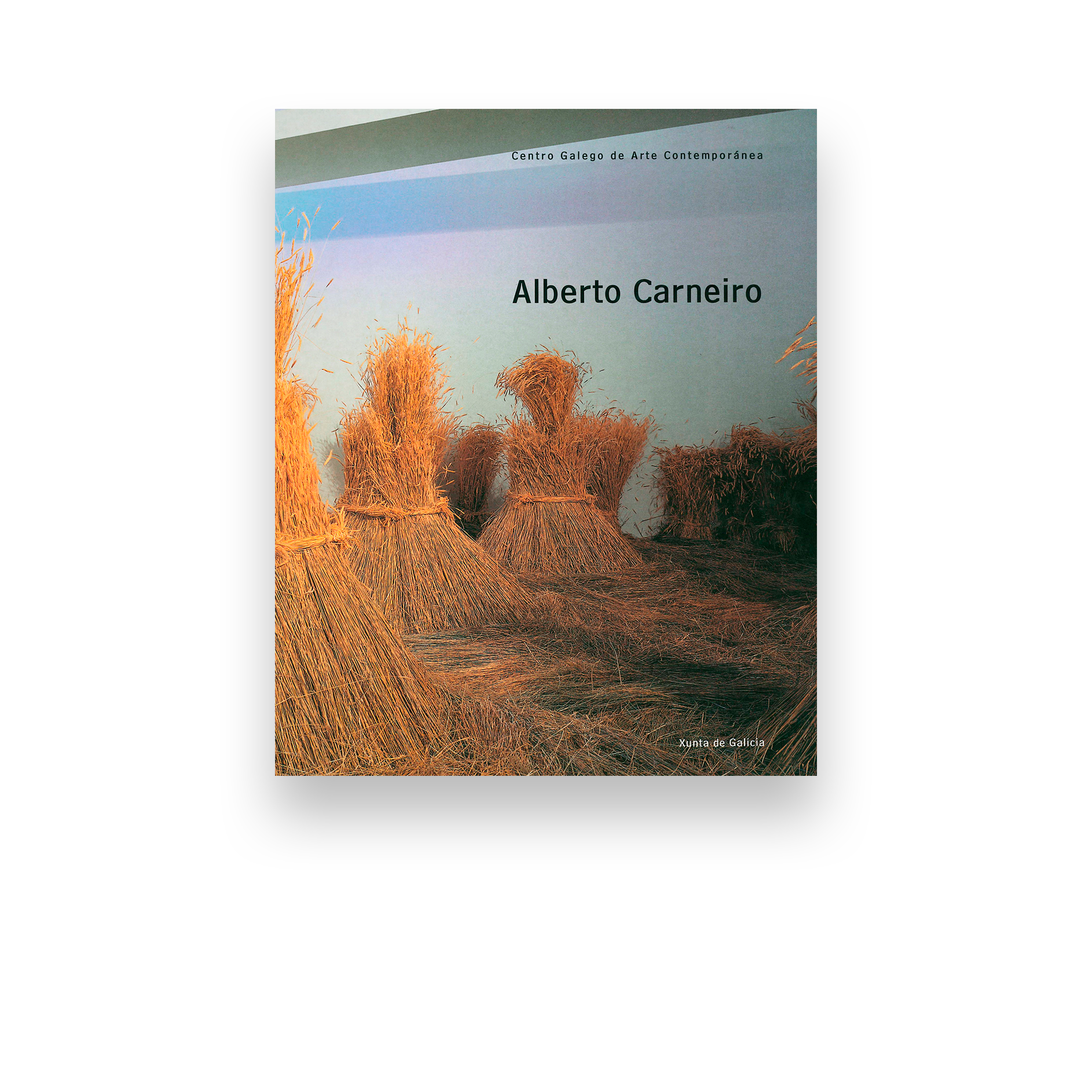 Alberto Carneiro