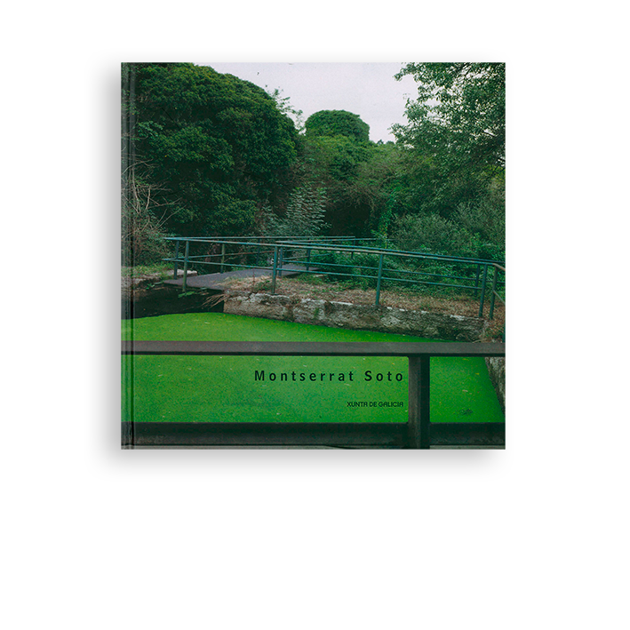 Compostela. Montserrat Soto