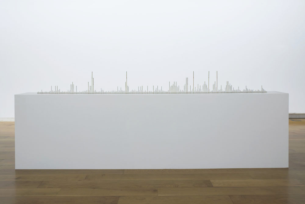 Amaya González Reyes: Estrategias Formales, 2010