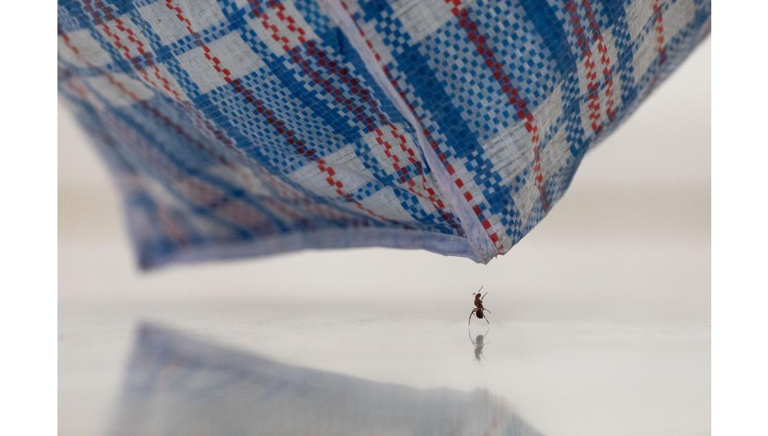 Accións peregrinas5