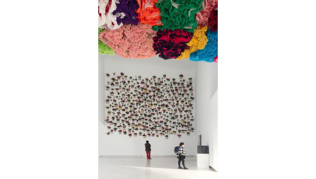 Accións peregrinas6