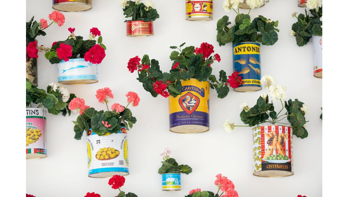 Accións peregrinas9