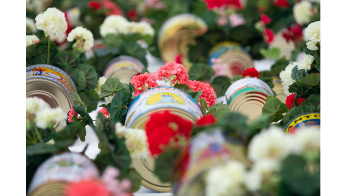 Accións peregrinas10