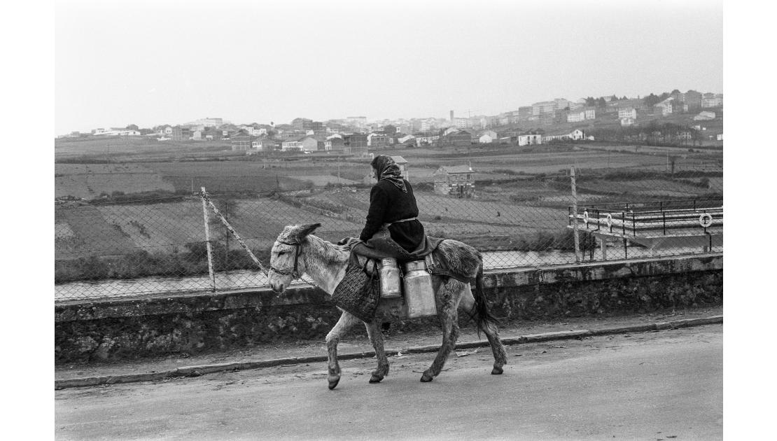 Raniero 130 I.572.jpg