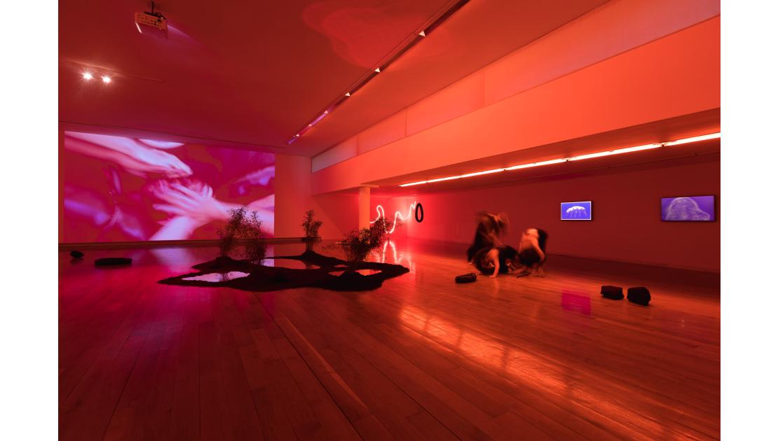 O museo como escenario-47.jpg