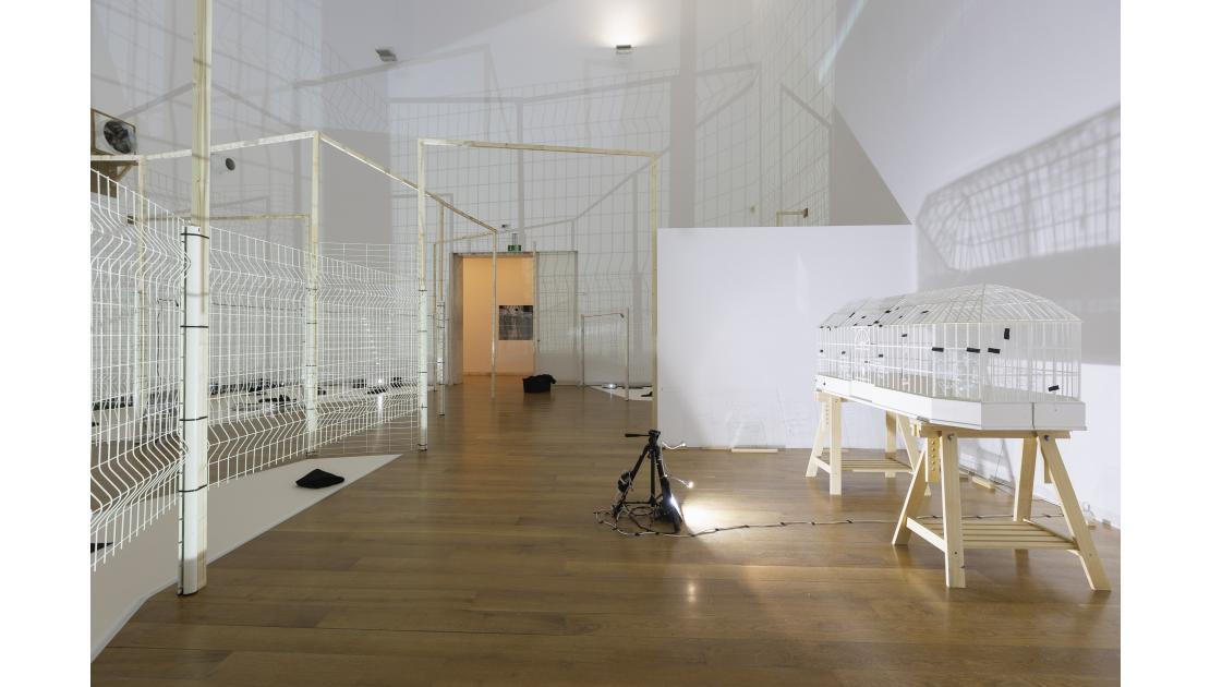 EXPOSICIÓN OLGA MESA. RE-VISIÓN(S)-46.jpg