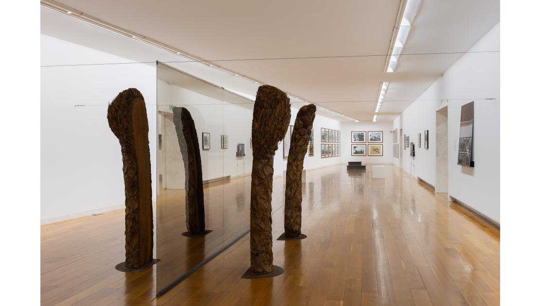 EXPO TRABALLO EN EQUIPO