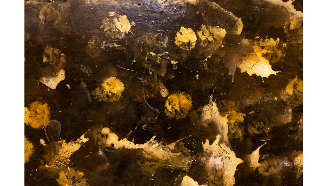 Lamazares: "Túzaro", 1986/1992 [detalle/detail]