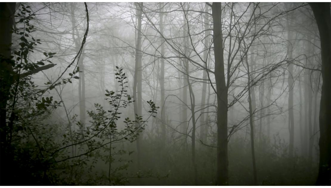 Peza de Max de Esteban