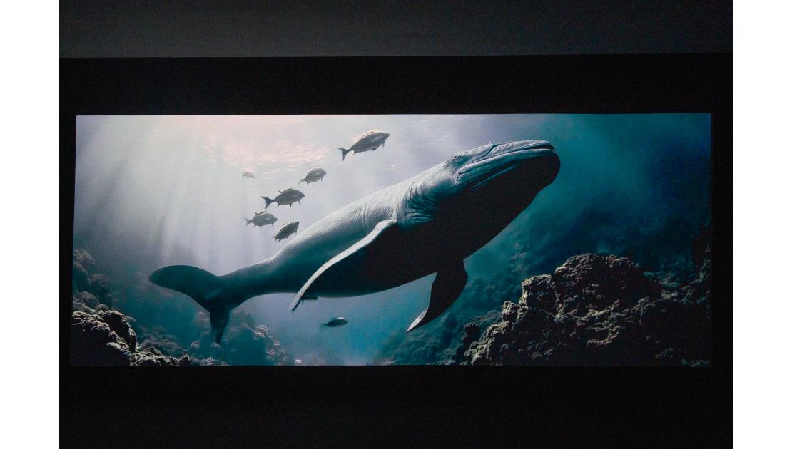 Joan Fontcuberta: "Génesis.IA", 2025