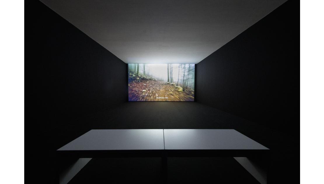 Max de Esteban: "A Forest", 2019