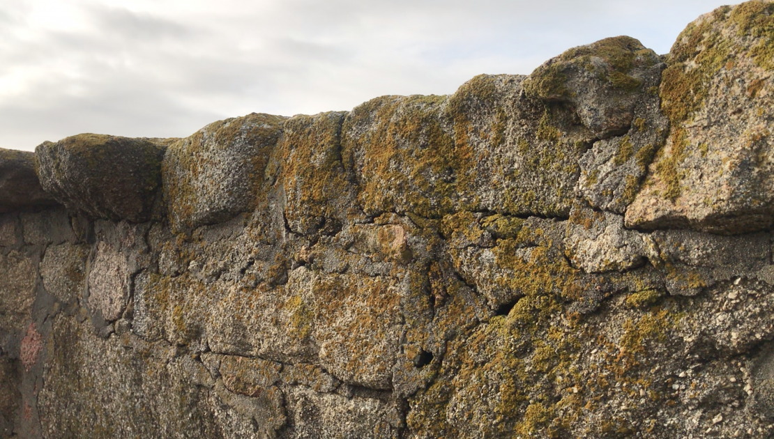 Captura de pantalla 2022-02-13 a las 14.08.07.png