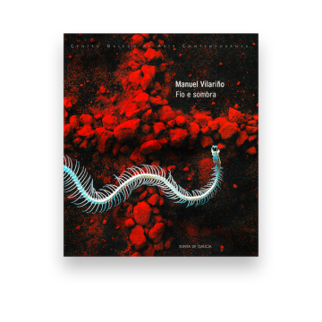 Manuel Vilariño. Fío e sombra