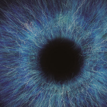 Captura de pantalla 2022-06-01 a la(s) 14.54.16.png