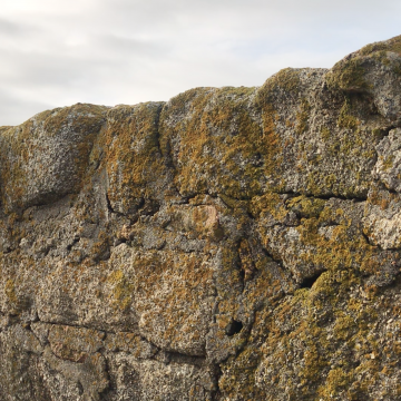 Captura de pantalla 2022-02-13 a las 14.08.07.png